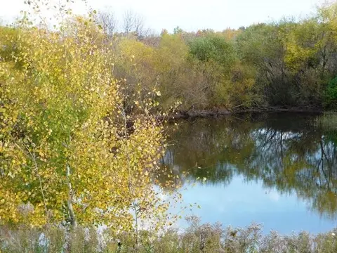 View/Area - w7924 Crow Road, Willard, WI 54493 photo 2 of 2