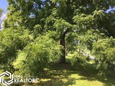 230 Maple St, Murray, IA 50174 photo 21
