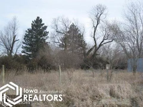 1719 210th St, Gravity, IA 50848 photo 5