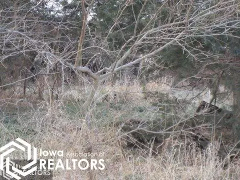 1719 210th St, Gravity, IA 50848 photo 2