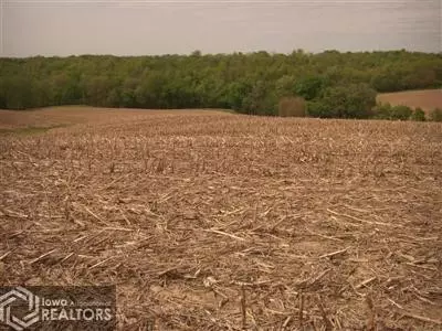 1949 Taylor Rd, Clarence, IA 52216 photo 2