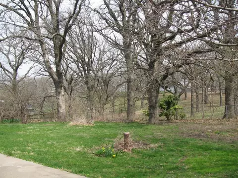 110 Broad Ave, Stanton, IA 51573 photo 15