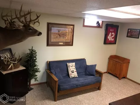321 6th St SE, Hampton, IA 50441 photo 19