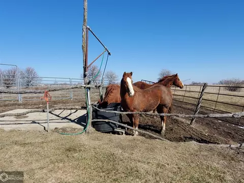 1172 125th Ave, Murray, IA 50174 photo 30