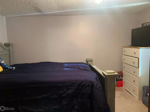 426 2nd Ave, Dedham, IA 51440 photo 11