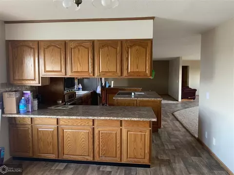 24512 Popcorn Rd, Weldon, IA 50264 photo 10