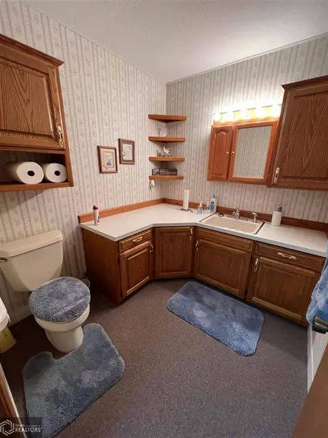 211 E Mill St, Avoca, IA 51521 photo 39
