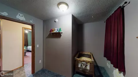 401 E 1st St, Odebolt, IA 51458 photo 32