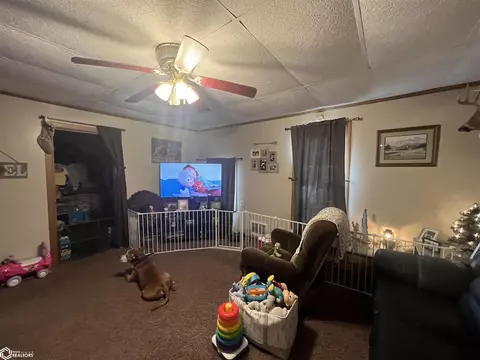 220 E 3rd St N, Exline, IA 52555 photo 16