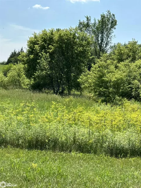 1053 Yellow Rose Ave, Lorimor, IA 50149 photo 10
