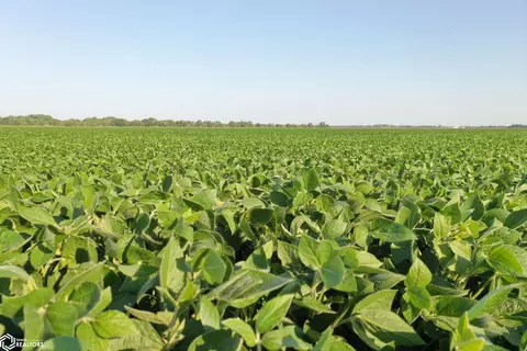 Interstate 80, Colfax, IA 50054 photo 18
