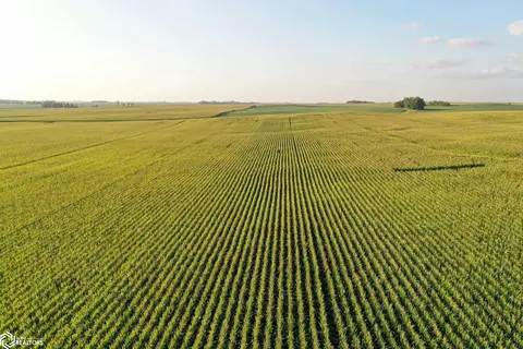 90 Th St, Dows, IA 50071 photo 10