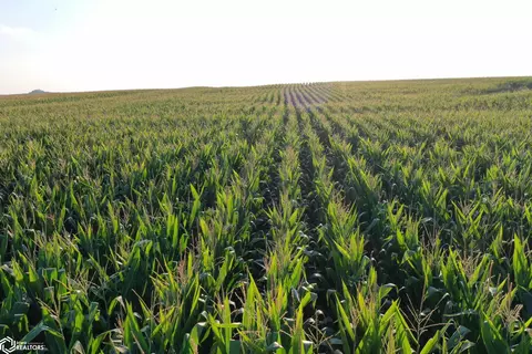 90 Th St, Dows, IA 50071 photo 15