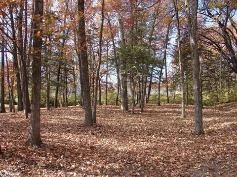 lot3 S Hoaglin Dr, Mount Pleasant, IA 52641