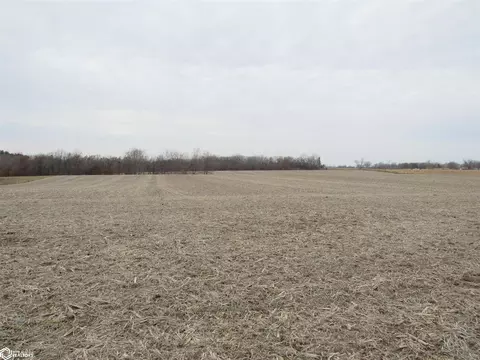 22769 135th Ave, Centerville, IA 52544 photo 3
