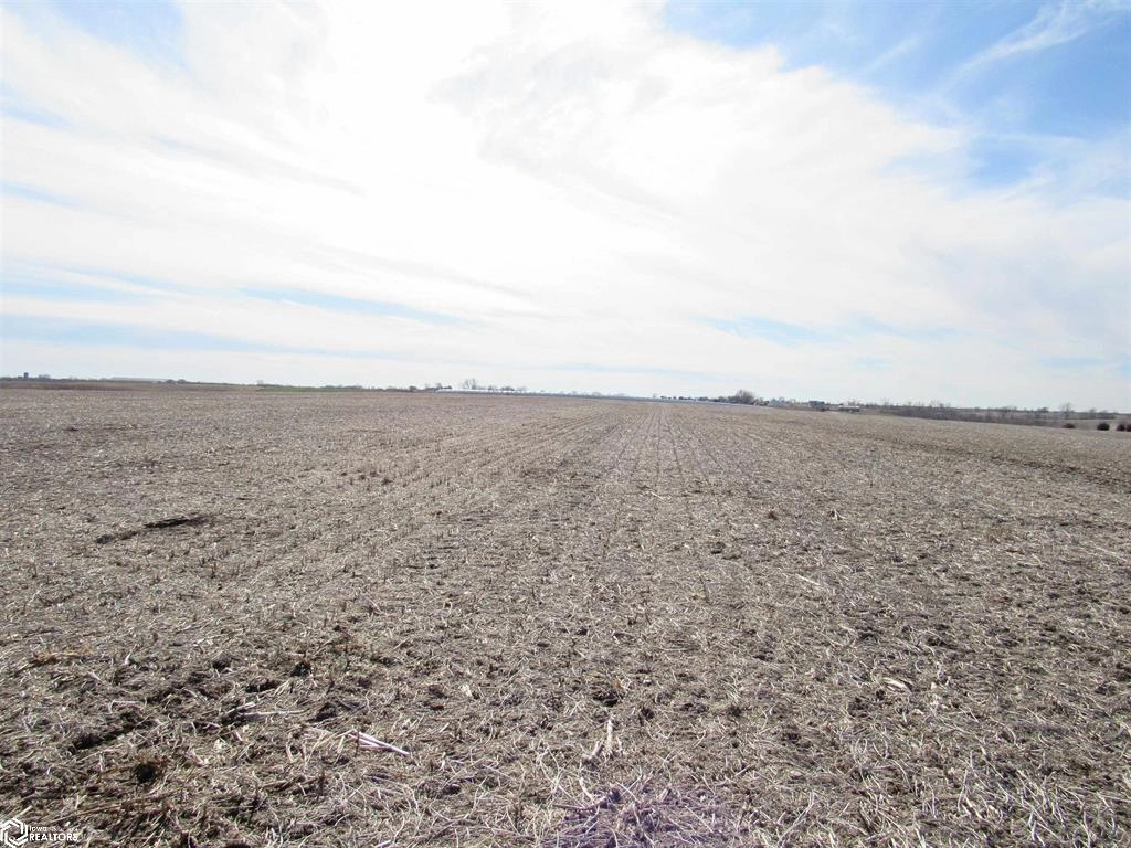 80 Acres Alpine Ave  