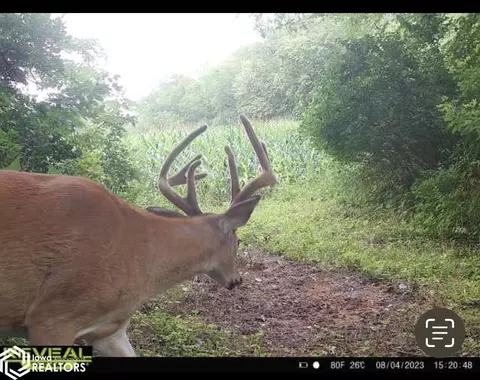 V64, Douds, IA 52551 photo 21