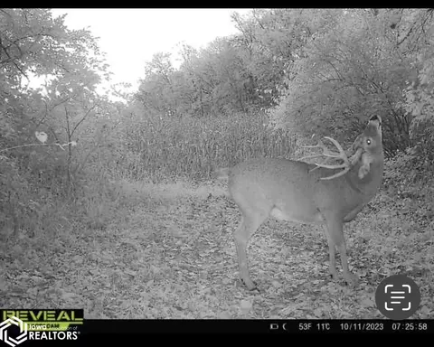V64, Douds, IA 52551 photo 22