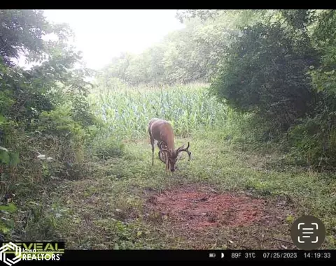 V64, Douds, IA 52551 photo 18