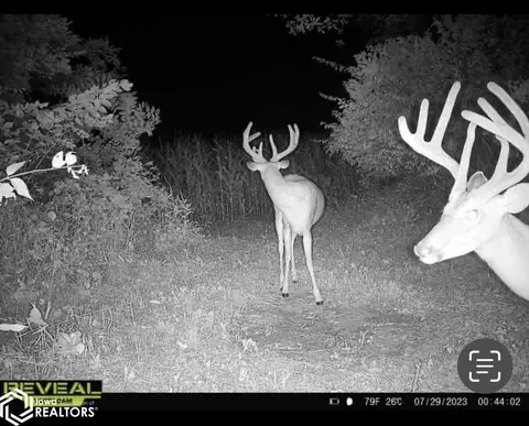 V64, Douds, IA 52551 photo 20