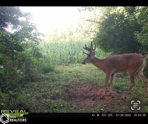 V64, Douds, IA 52551 photo 19