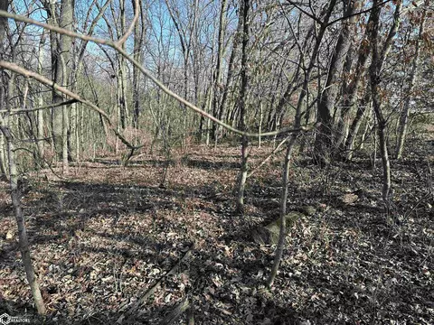 V64, Douds, IA 52551 photo 16