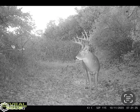 V64, Douds, IA 52551 photo 23