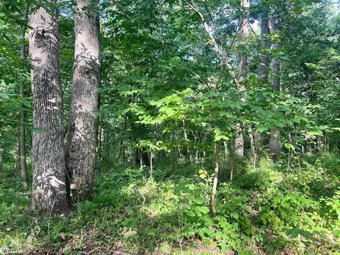 Copperhead Rd, Eldon, IA 52537 photo 8