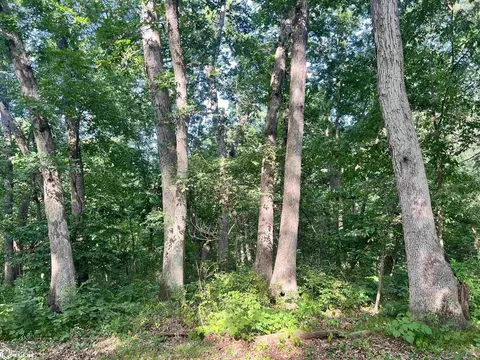 Copperhead Rd, Eldon, IA 52537 photo 9