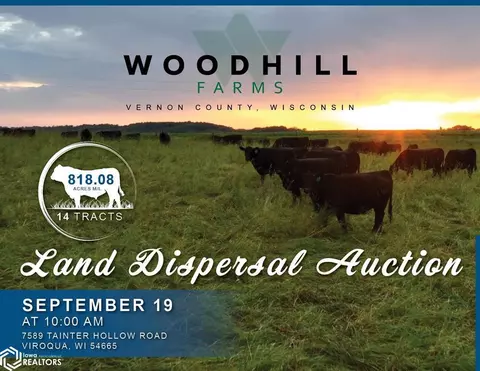 Tainter Hollow Road, Viroqua, WI 54665