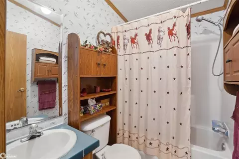 Bath - 921 Diagonal Rd, Malcom, IA 50157 photo 3 of 3