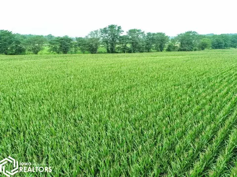 26286 R Ave, Eldora, IA 50627 photo 7