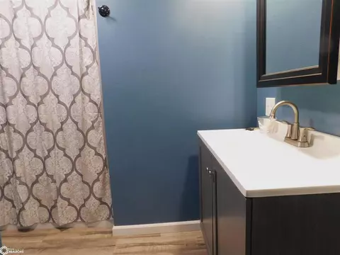 Bath - 421 Maple St, Deloit, IA 51441 photo 2 of 3