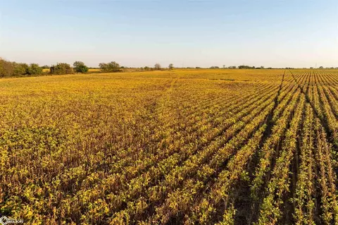 Birch Road, Bronson, KS 66746 photo 23