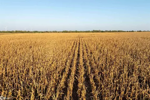 Birch Road, Bronson, KS 66746 photo 21