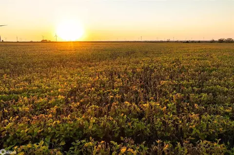 Birch Road, Bronson, KS 66746 photo 26