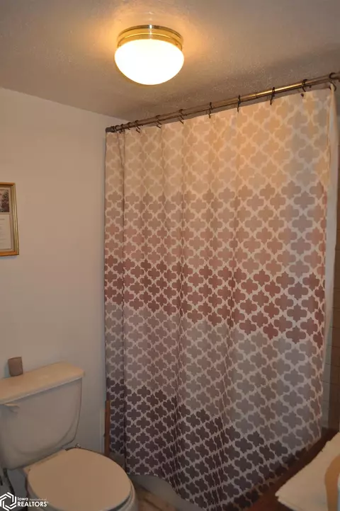 Bath - 411 W 2nd St, Glidden, IA 51443 photo 6 of 7