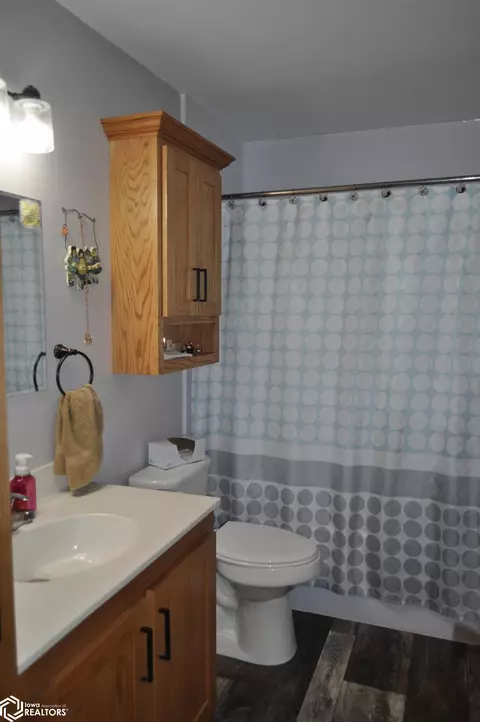 Bath - 411 W 2nd St, Glidden, IA 51443 photo 1 of 7