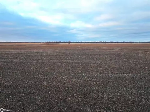 Conn Road, Hamel, IL 62001 photo 10
