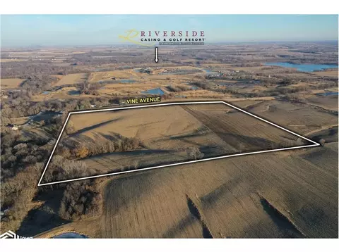 Vine Avenue, Riverside, IA 52327