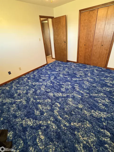 1045 Buchanan Ave, Corwith, IA 50430 photo 32
