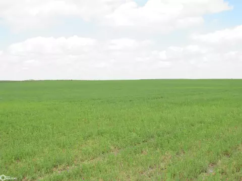37 A P70, Ogden, IA 50212