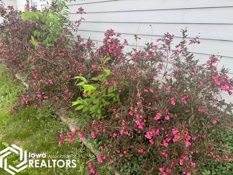 319 E Orch, Centerville, IA 52544 photo 23