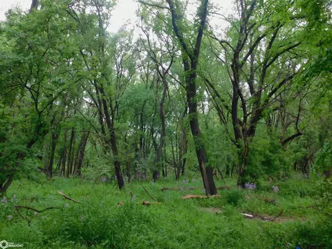 N 24th Street, Denison, IA 51442
