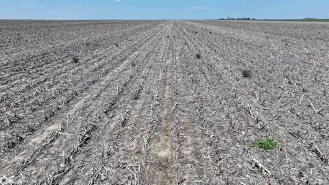 747 Road Rd, Venango, NE 69168 photo 7