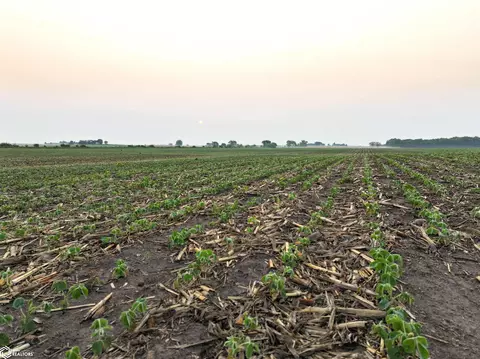 Thomas Avenue, Coggon, IA 52218