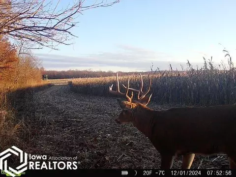 482 Nd St, Centerville, IA 52544 photo 17