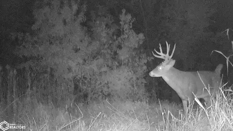 000 63rd Ave, Eldon, IA 52554 photo 77