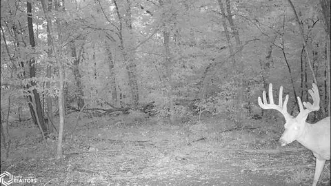 000 63rd Ave, Eldon, IA 52554 photo 66