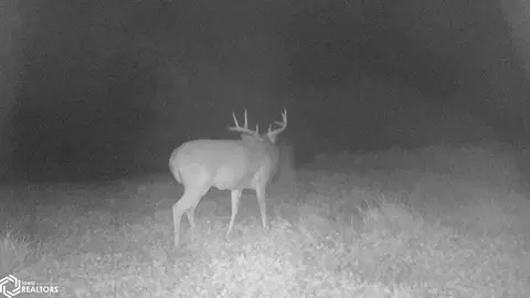 000 63rd Ave, Eldon, IA 52554 photo 75